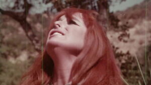 The Affairs of Aphrodite