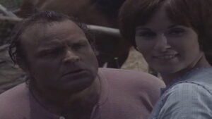 Something for a Lonely Man