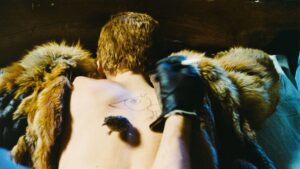 Birds, Orphans and Fools