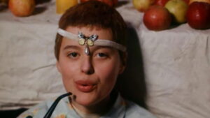 Birds, Orphans and Fools