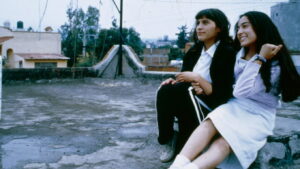 Violet Perfume: Nobody Hears You