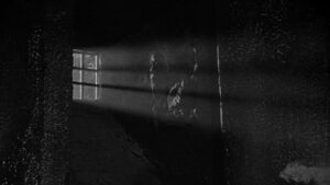 The Playgirls and the Vampire