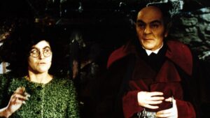 The Girl on the Broomstick