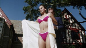 The Babysitter’s Seduction