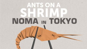 Ants on a Shrimp