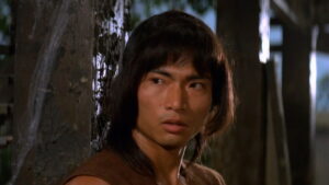 Magnificent Wanderers