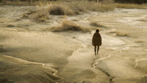 The Miracle of Tekir