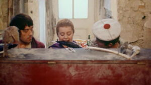 Birds, Orphans and Fools