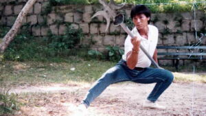 Ninja Operation – Knight and Warrior