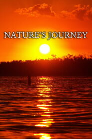 Nature’s Journey
