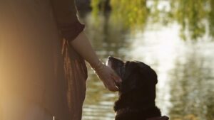 Adele and Everything After