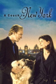 A Couch in New York