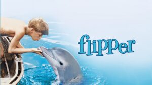 Flipper