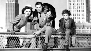 Tarzan’s New York Adventure