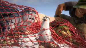 A Turtle’s Tale 2: Sammy’s Escape from Paradise