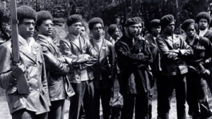 The Black Panthers: Vanguard of the Revolution