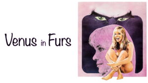 Venus in Furs