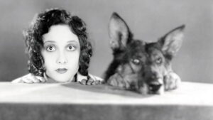 Where the North Begins