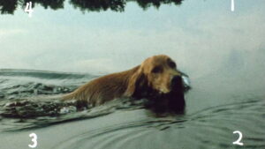 Everything Everywhere Again Alive