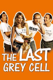 Job: The Last Grey Cell