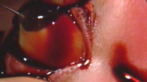 Guinea Pig: Devil’s Experiment