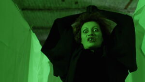 The Spider Labyrinth