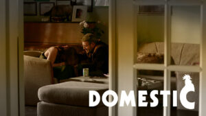 Domestic