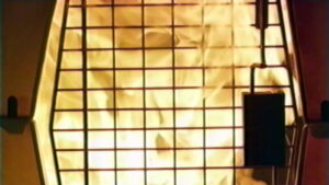 She’s Allergic to Cats