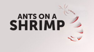 Ants on a Shrimp