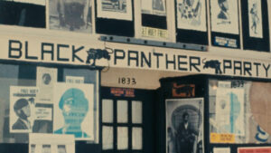 Black Panthers