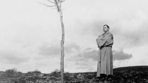 The Flowers of St. Francis