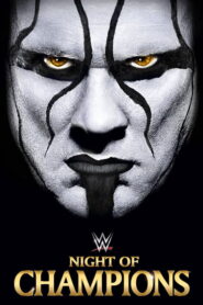 WWE Night of Champions 2015