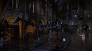 David Attenborough’s Natural History Museum Alive