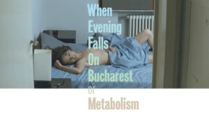 When Evening Falls on Bucharest or Metabolism