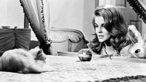 Bus Riley’s Back in Town