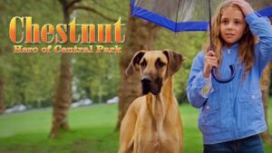 Chestnut: Hero of Central Park