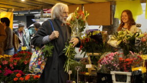 Mr. Stein Goes Online