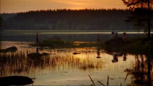 The Children of Noisy Village