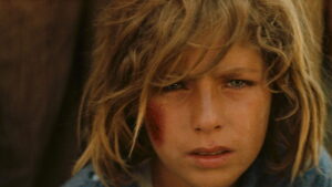 Chronicle of the Years of Fire