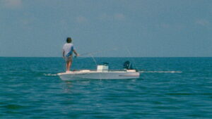 Tarpon