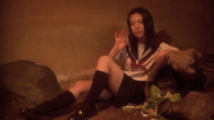 Noriko’s Dinner Table