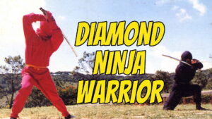 Diamond Ninja Force