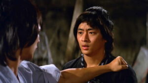 Magnificent Wanderers