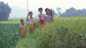 A Summer at Grandpa’s