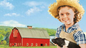 Rebecca of Sunnybrook Farm