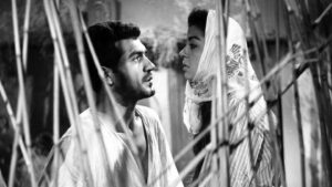 Revenge of the Snakes