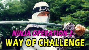 Ninja Operation 2 – Way of Challenge