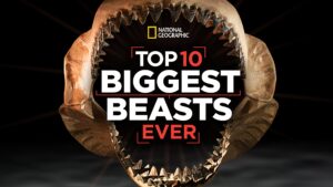 Top 10 Biggest Beasts Ever