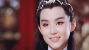 The Dream of the Red Chamber