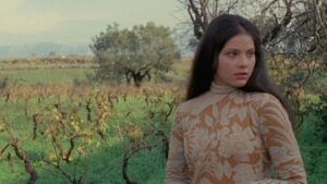 The Most Beautiful Wife